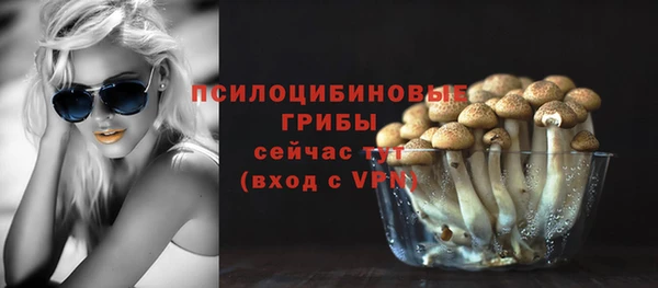 не бодяженный Михайлов