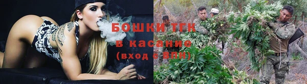 не бодяженный Михайлов